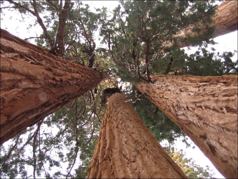 2006-11-04 Fresno Dome (28) Look up